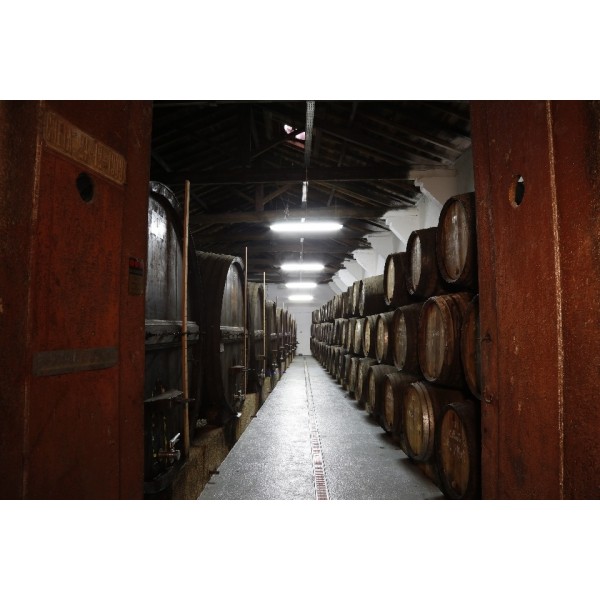 QuintaVistaAlegreColheita2005ismuktrkasse-37