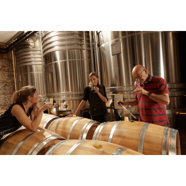 ChateauNadalHainautGRENACHEAOPCtesduRoussillonBIOSpontangresElegantogfemininvin-31