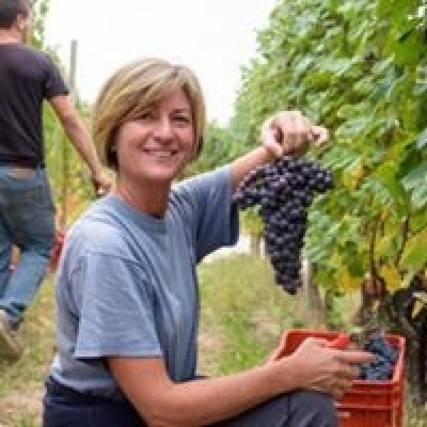 TRAVAGLINIGATTINARADOCGTREVIGNE2014PIEMONTE-31
