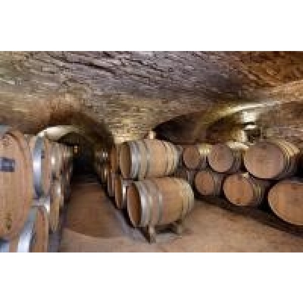 ChateauDeMelinPulignyMontrachetLaCorvedesVignes2019-38