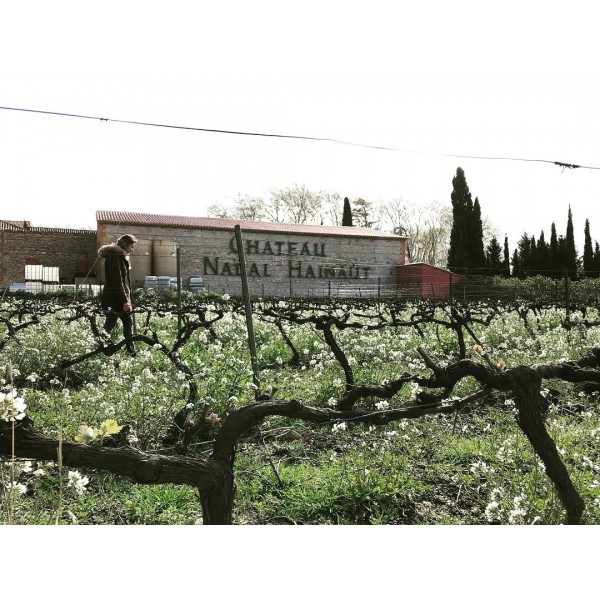 ChateauNadalHainautLaCentenaire1900CarignanIGPCtesCatalanes125rgamlevinstokke-310