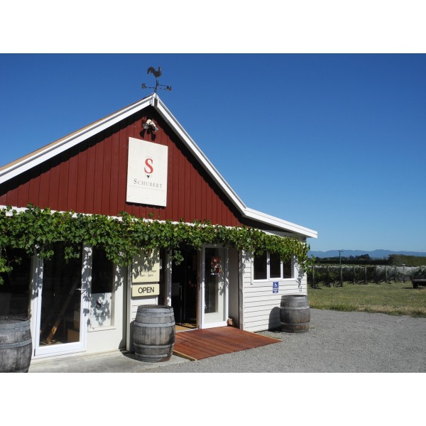 SCHUBERTWINESMARTINBOROUGHNEWZEALANDMARIONsVINEYARDPINOTNOIR2022-32