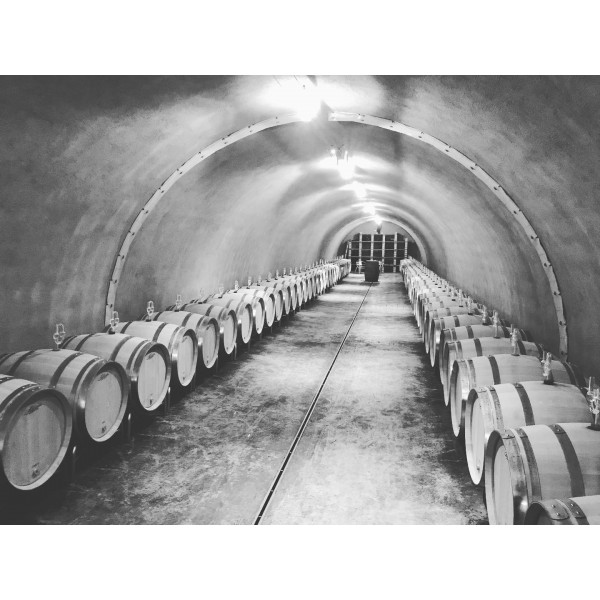 WeingutLorenzTrittenheimerRieslingKabinettMosel-35