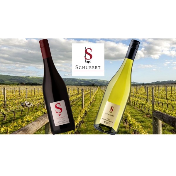 SCHUBERTWINESMARTINBOROUGHNEWZEALANDMARIONsVINEYARDPINOTNOIR2022-32