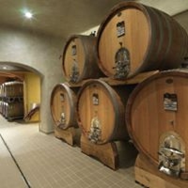 SartoriAlmoranoAmaronedellaValpolicellaDOCG-38