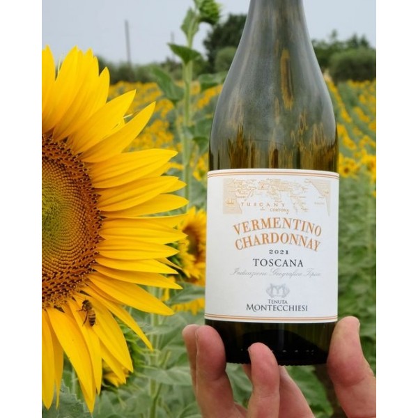 TenutaMontecchiesiVermentinoChardonnayToscanaIGT-31