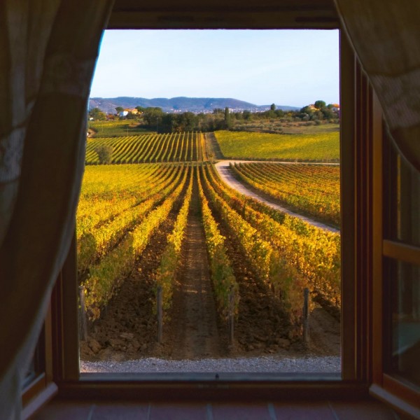 TenutaMontecchiesiVermentinoChardonnayToscanaIGT-31