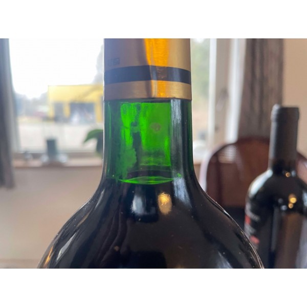 ChateaudeCayxCahorsVinsduPrincedeDanemark1996magnum-33