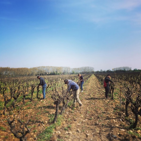 ChateauNadalHainautLaCentenaire1900CarignanIGPCtesCatalanes125rgamlevinstokke-310