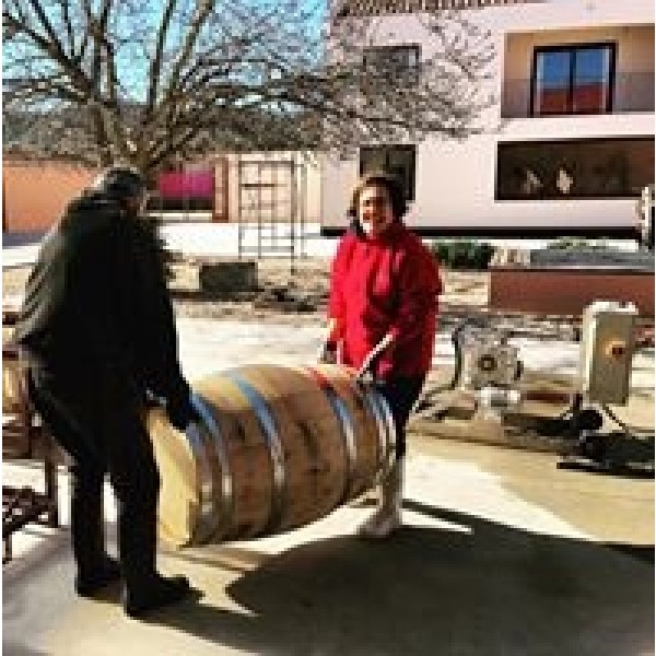 BodegaSarmenteroRobleRibeiradelDueroTemperanilloRETSVINKMPETILBUD-31