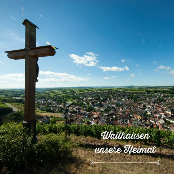 BickingBickingPfalzWallhausenUfiltreretSptburgunderinaturvinskategorienVinforkenderen-311