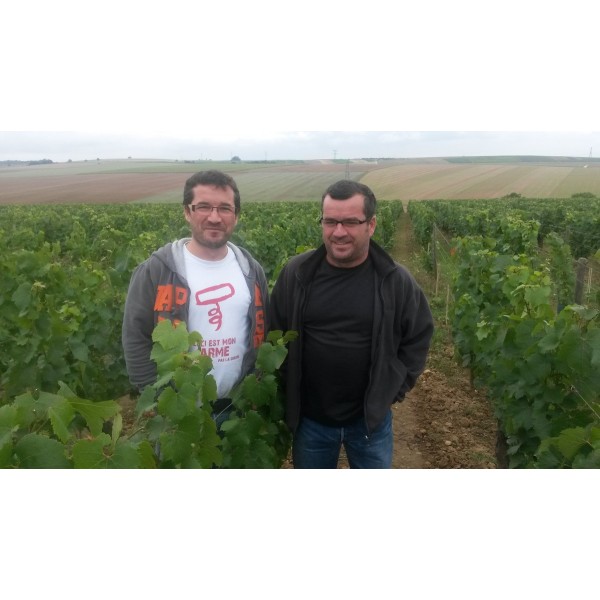 Chablis1ercruBeauroyDomaineGarnierFils-39