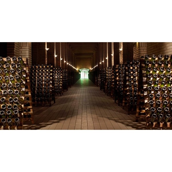 CasaValdugaTerroirCabernetFrancBrasilienUdgrdesvrrepgaforlidteftersprgselSidste2fl-31