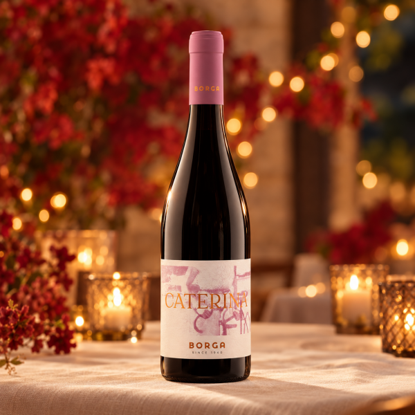 CANTINEBORGACATERINAREFOSCOMERLOTCABERNETIGTTREVENEZIE-38