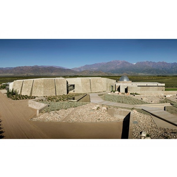 ZuccardiPoligonosSemillnUcoValleyMendozaArgentinaTILBUDSPRIS-31