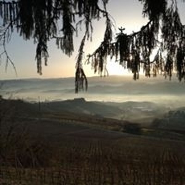CarloRevelloFigliRocchedellAnnunziata2017LaMorraBarolo-31