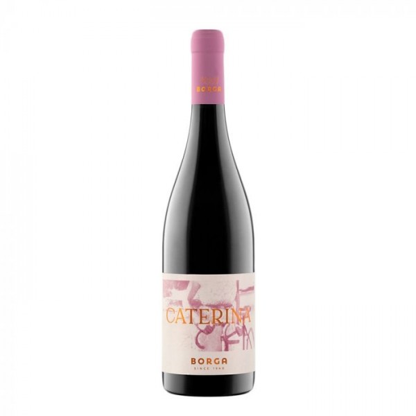 CANTINEBORGACATERINAREFOSCOMERLOTCABERNETIGTTREVENEZIE-37