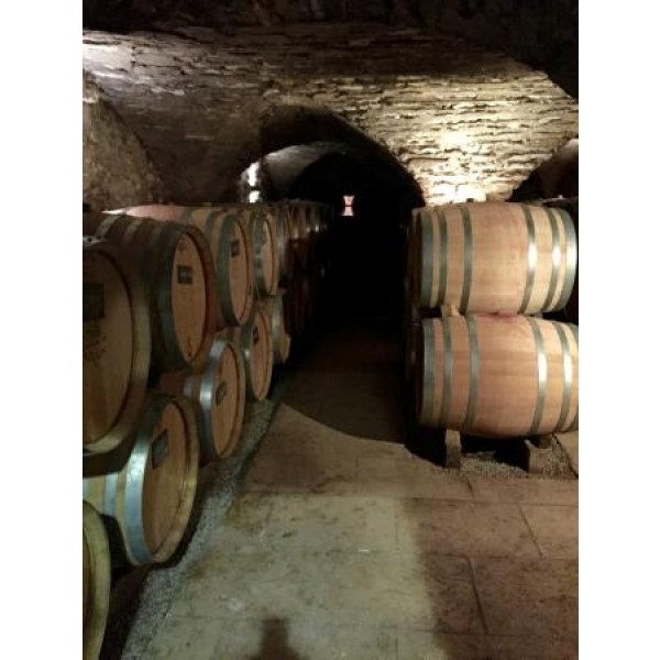 ChateauDeMelinPulignyMontrachetLaCorvedesVignes2019-38