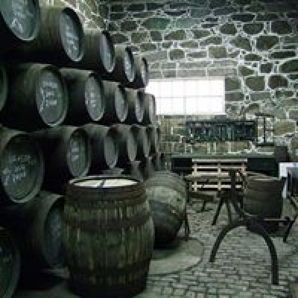 DalvaPort20rsTawnySmuktrkasse-31