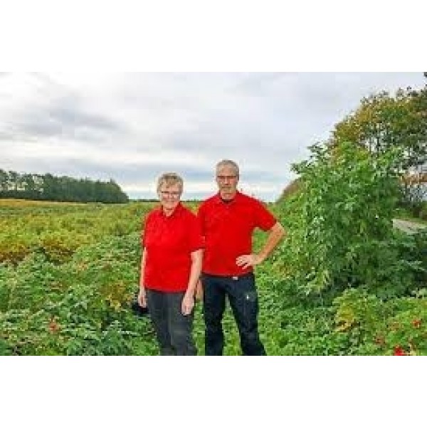 AppelsinsyltedevalnddderHybengaardenVendsysselPremiumproduct200griglas-321