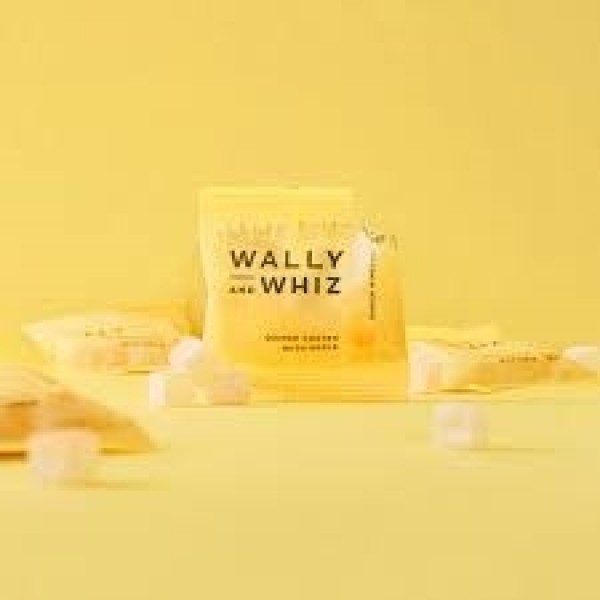 WallyandWhizKvdevingummidryssetmedblepulverismposeraf11gr-327