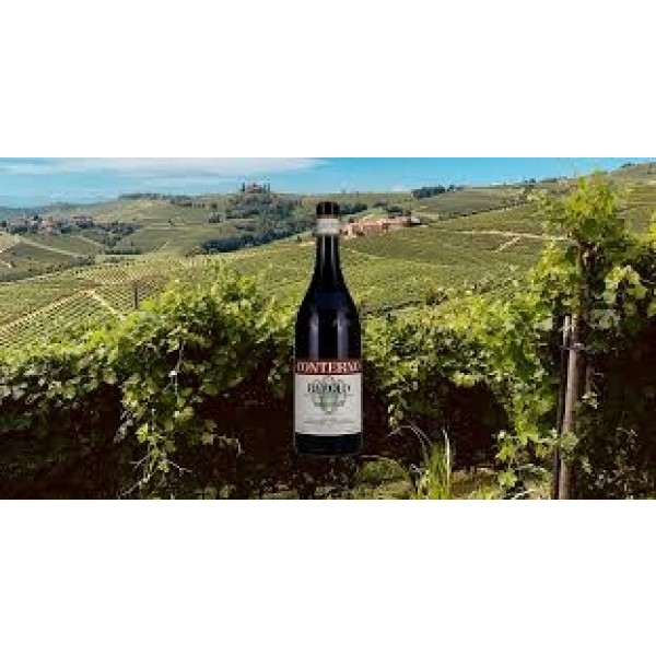 GiacomoConternoBarberadAlbaVignaFranciaDOC2022-31