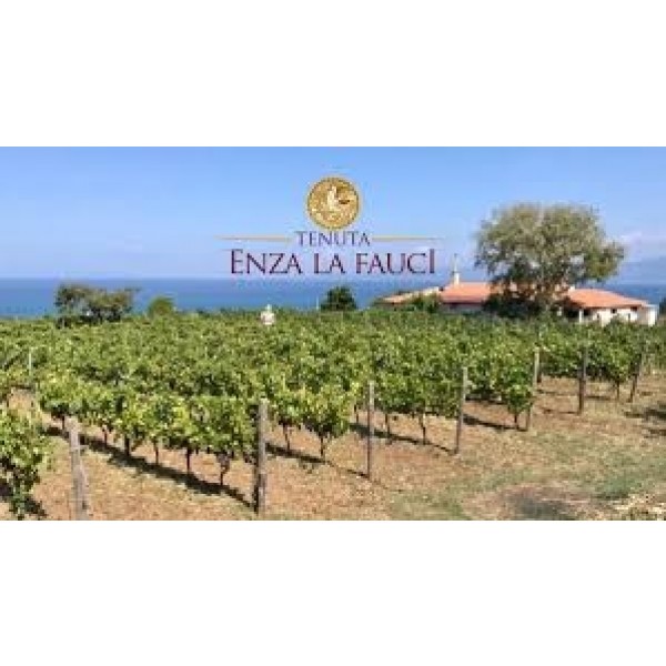 TENUTAENZALAFAUCITerradiVentoFaroDOCSicilien-31