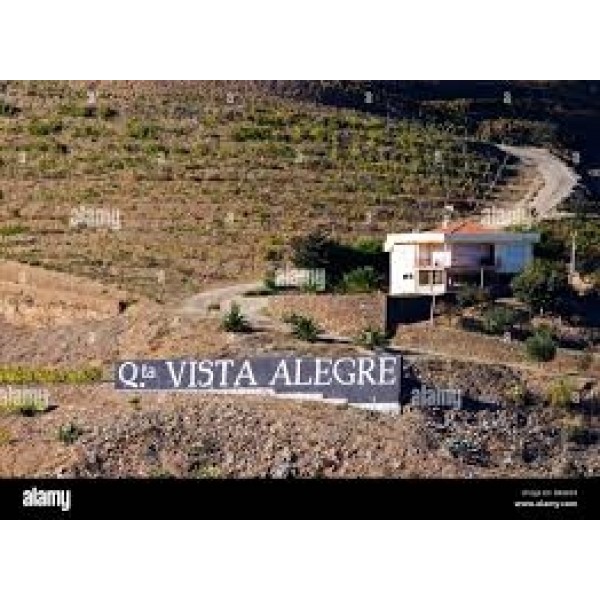 QuintaVistaAlegreColheita2005ismuktrkasse-37