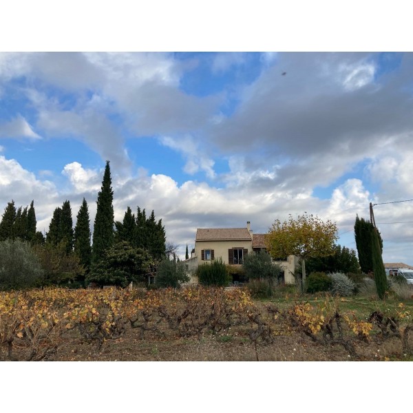 DomaineAndrCuveeMagalieVindePaysduVaucluseRhne-31