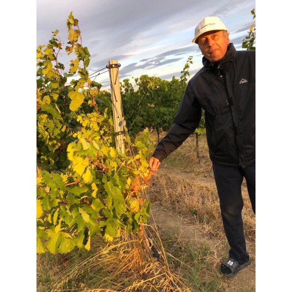 DomaineAndrCuveeMagalieVindePaysduVaucluseRhne-31