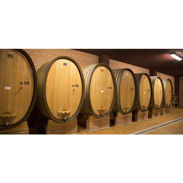 BaroloCerrettaDOCG2020GiacomoConterno-31