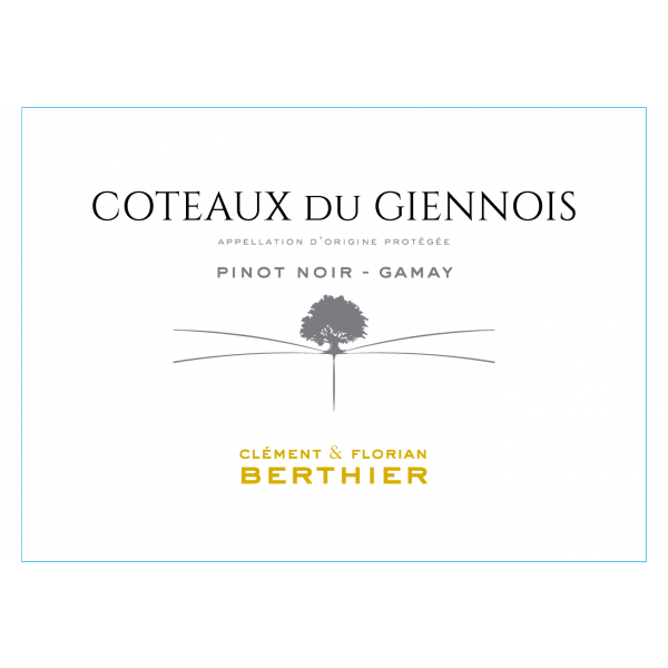 VignoblesBarthierAOPCoteauxduGiennoisRougeCentreValdeLoire-31