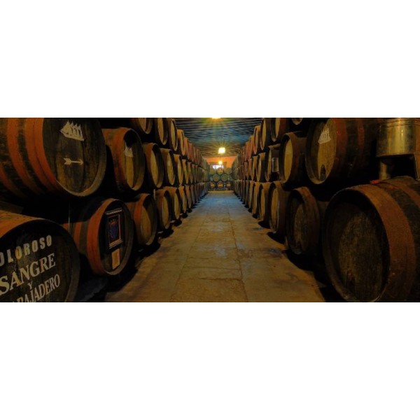 BodegasGutirrezColosiaPedroXimnez-31