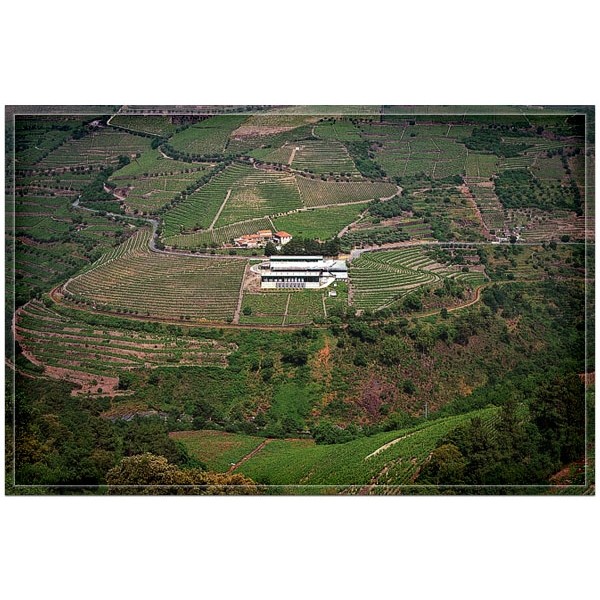 DalvaPortColheita1985-31