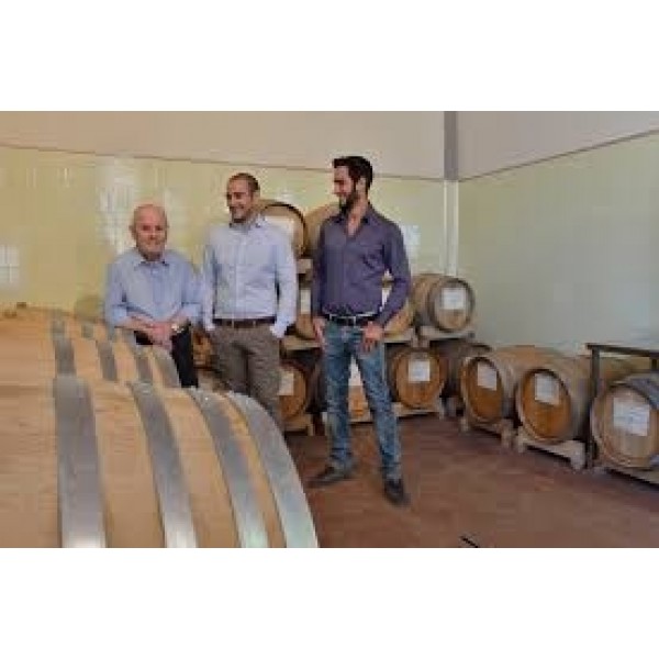 TerrediPersetoCAPRICCIOIGTBiancoDiToscanaTrebbianoTOPSLLERT-39