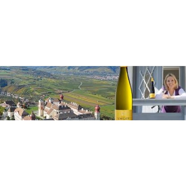 WeingutPetraUngerKremstalSprinzenbergIcewein-31