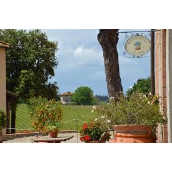 TerrediPersetoCAPRICCIOIGTBiancoDiToscanaTrebbianoTOPSLLERT-39