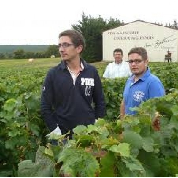 VignoblesBerthierMuscadetCotesdeGrandlieuSurLie-38