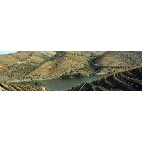 QuintaVistaAlegre100rskassenmedportvinesom102030og40rPerfektogfingaveidtilportvinselskeren-313