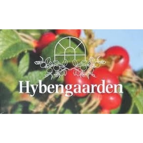 HavtornsauceHybengaardenVendsysselPremiumproduct200griglas-330