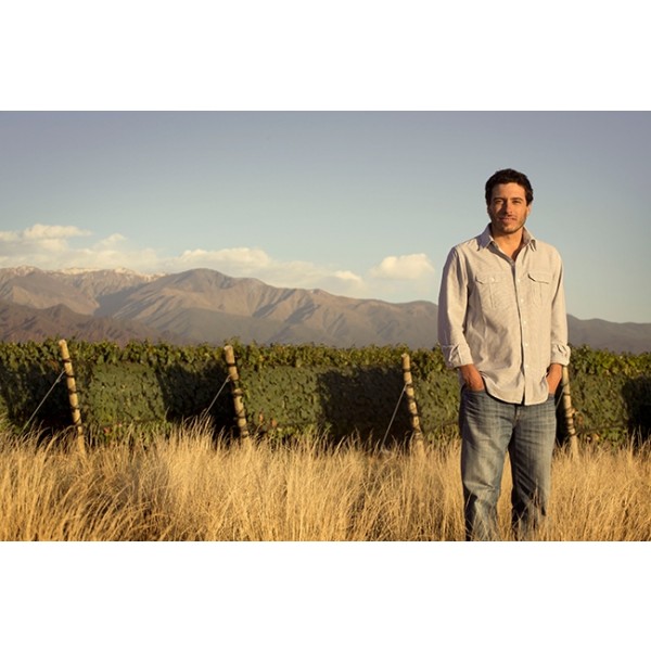 ZuccardiPoligonosSemillnUcoValleyMendozaArgentinaTILBUDSPRIS-31
