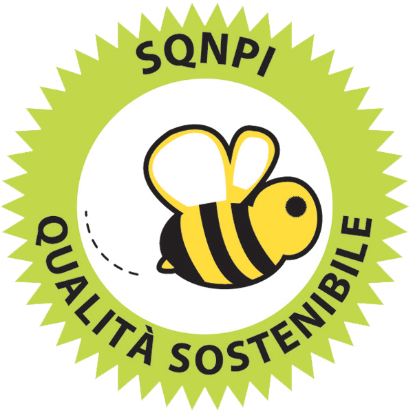 CantineBorgaChardonnayVeneziaDOCvegancertified-31