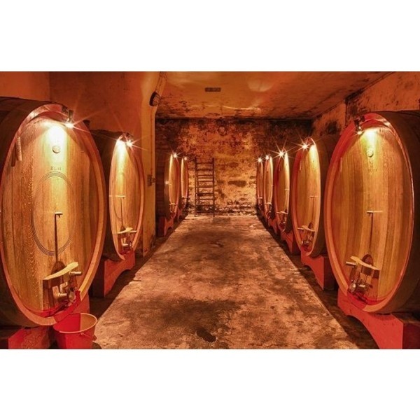 NerviGattinaraConternoVignaValferana2020DOCG-31