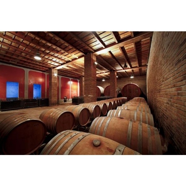 NerviGattinaraConternoVignaValferana2020DOCG-31