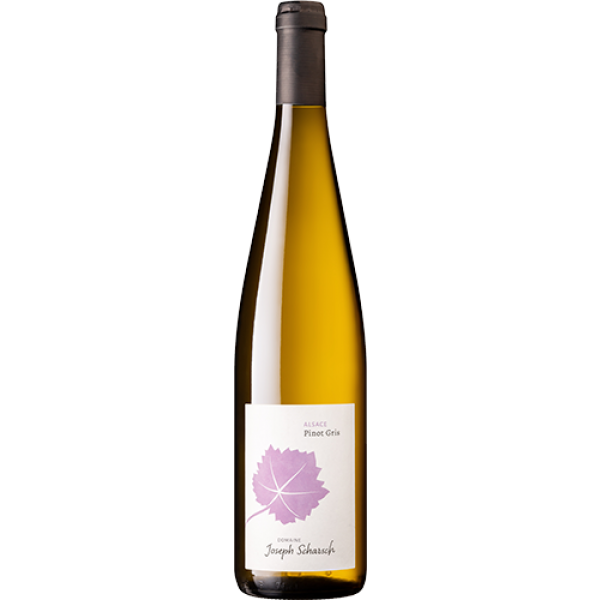 DomaineJosephScharschWolxheimAlsacePinotGris-310