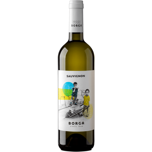 CantineBorgaSauvignonBlancIGTTrevenezie-31