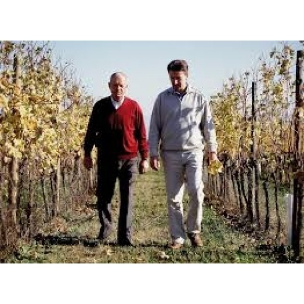 SauvignonBlancVierisDOCViediRomansFriuliVeneziaGiulia2020-31