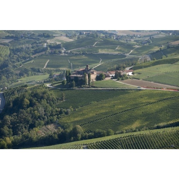 VIBERTIBUONPADREDOCGBAROLO2017-31