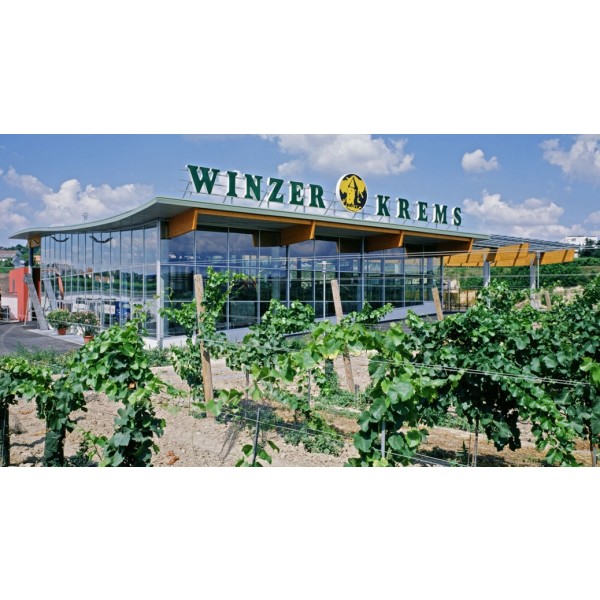 WinzerKremsGrnerVeltlinerstrigAlkoholfri-31