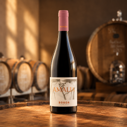 CANTINEBORGAAMALIAPINOTNEROIGTTREVENEZIEGuldmedaljeafMundusvini-20
